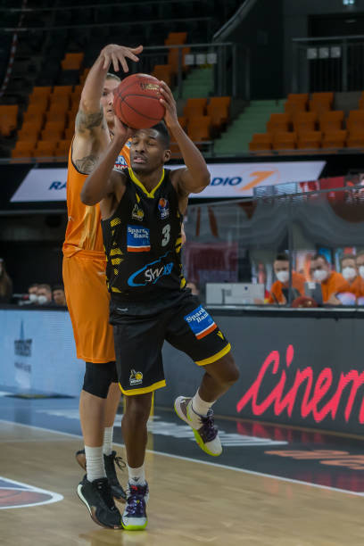 出敏锐的嗅 出敏锐的嗅